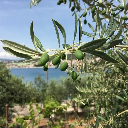 Apartamento A & A Luxury